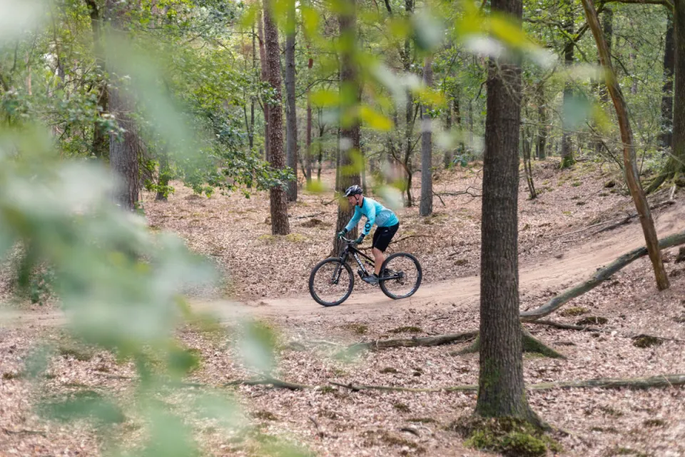 Mountainbiker rijdt over een zandig bospad tussen de bomen in de bossen bij Appelscha