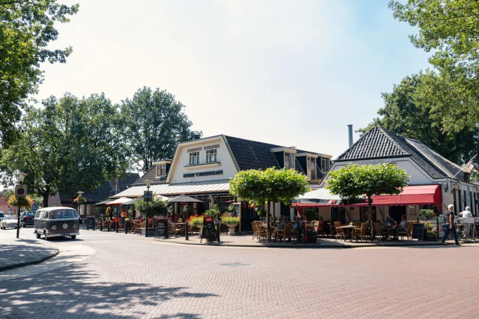 Winkelstraat met terrassen, winkels en bomen in het centrum van Appelscha
