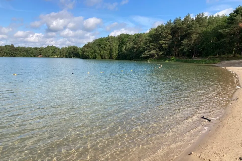 Zandstrand met helder water en bosrand aan het Blauwe Meer bij Appelscha
