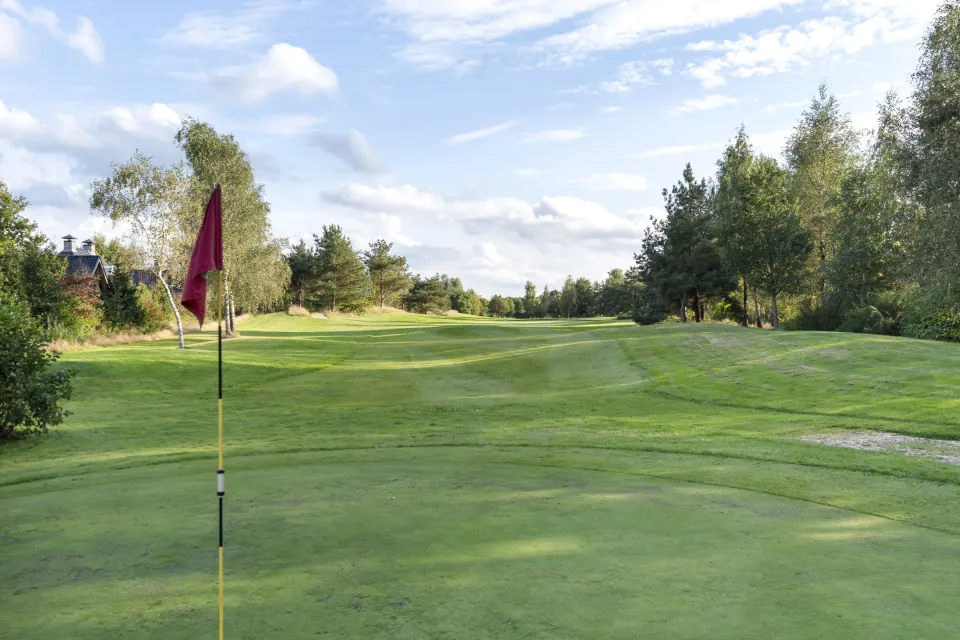 Green met rode vlag omzoomd door bomen op golfpark Hildenberg bij Appelscha
