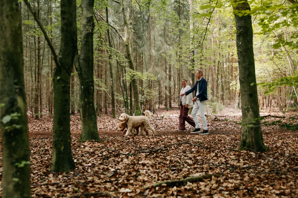 wandelen bos met hond